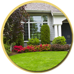 landscaping poolscaping services