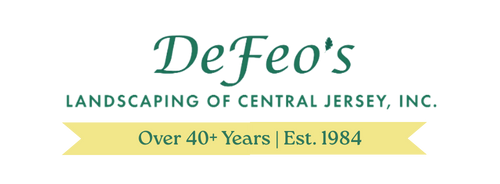 Defeos Logo New 2025